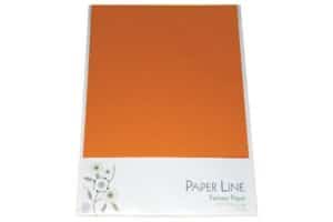 En pakke med 10 stk. A4 orange karton fra Paper Line på en hvid baggrund.