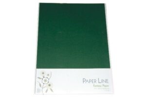 Mørkegrønne A4 kartonark fra Paper Line, 180g - pakke med 10.